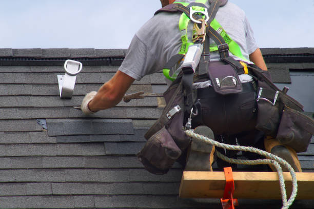 Best Roof Leak Repair  in Amelia, LA