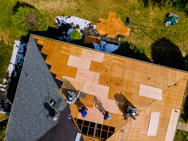 Best Roof Gutter Cleaning  in Amelia, LA