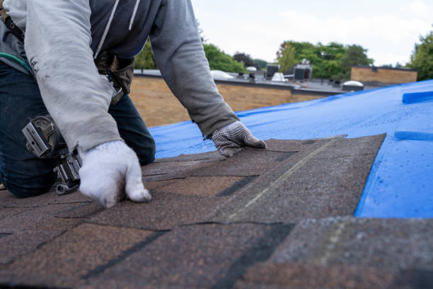 Best Emergency Roof Repair  in Amelia, LA
