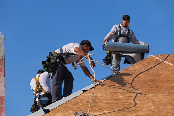 Best Emergency Roof Repair  in Amelia, LA
