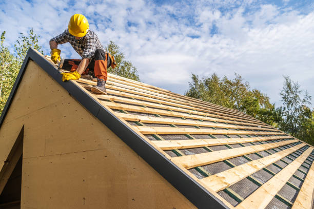 Best Gutter Installation and Roofing  in Amelia, LA