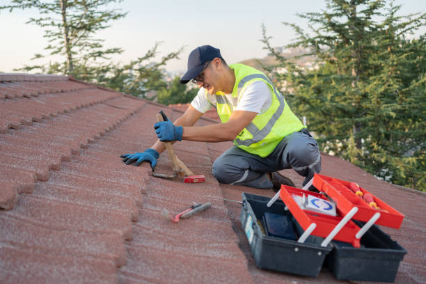 Best Roof Leak Repair  in Amelia, LA