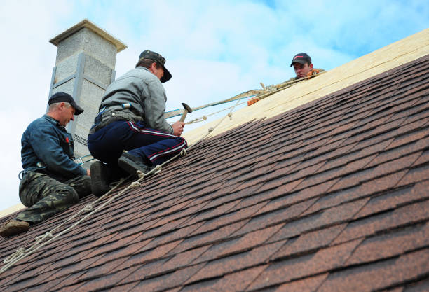 Tile Roofing Contractor in Amelia, LA