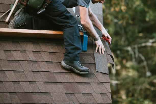 Best Roof Repair Services  in Amelia, LA